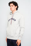 Polerón Gris Tommy Hilfiger Talla M Image 1