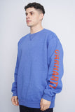 Poleron azul cielo Carhartt Talla L 2